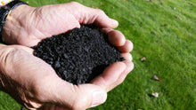 Carbon Dioxide Removal Certificate (CORC) - ECOERA Millennium(TM) Biochar Carbon Sink